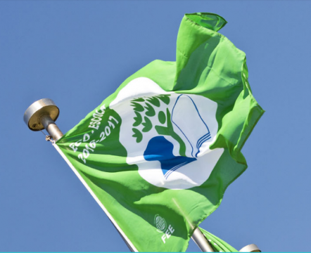 Campus da NOVA FCSH já tem bandeira verde