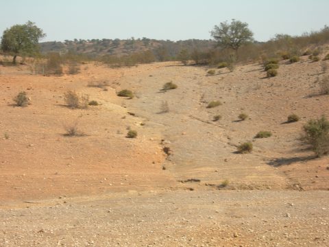 Dia Mundial do Combate à Seca e à Desertificação