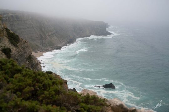 Caminhada à Descoberta da Samarra (Sintra)