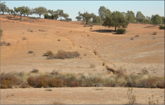 NOVA FCSH assinala Dia Mundial do Combate à Seca e à Desertificação