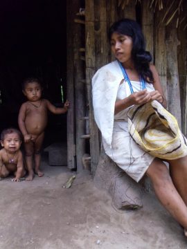 Frederico Coutinho e Marcelo Cabrera vencem Concurso de Fotografia da NOVA