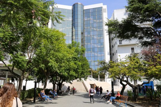 Candidaturas ao Cargo de Diretor/a da NOVA FCSH
