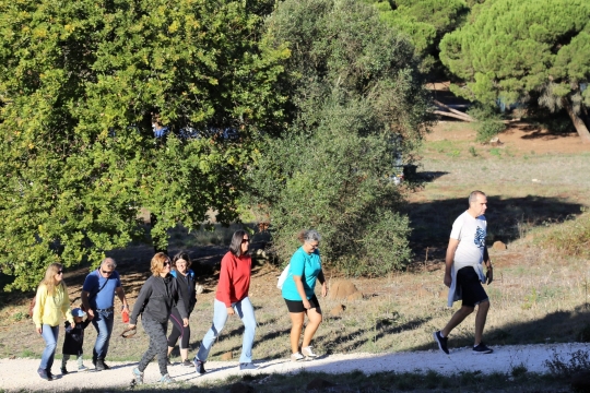 Caminhada - Pelo coração da floresta e vila de Sintra