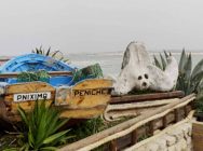 Histórias de Ambientes e Natureza: Para lá da Biodiversidade