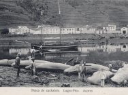 MOOC: "Caça à baleia e os portugueses" - Infraestrutura ROSSIO e Plataforma NAU