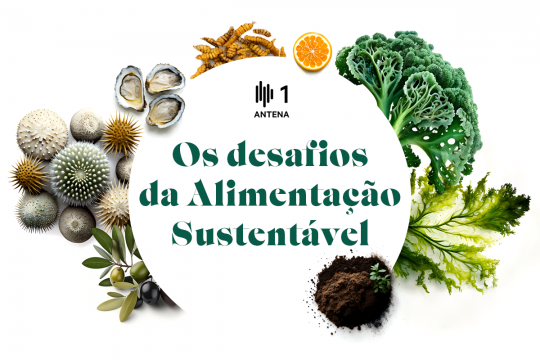 NOVA FCSH envolvida em novo programa da Antena 1 sobre alimentação sustentável