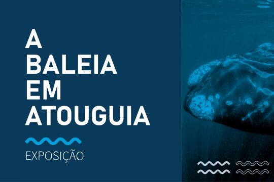 Exposição “A Baleia em Atouguia”