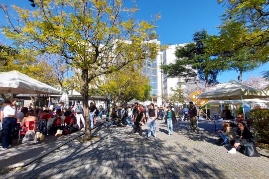 NOVA FCSH é a primeira Faculdade distinguida como Marca Recomendada