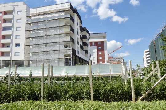 Sistemas Alimentares Urbanos Sustentáveis - Compreender para operacionalizar a transição
