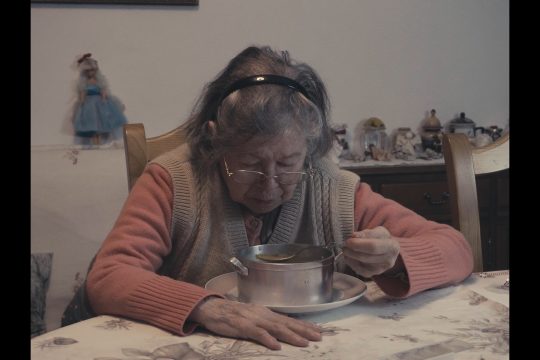 NOVA FCSH assinala Dia do Artista com curtas-metragens de estudantes de Ciências da Comunicação