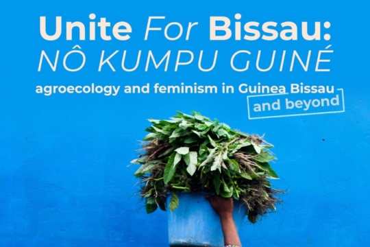 Exibição do documentário Unite for Bissau (Nô Kumpu Guiné): Agroecologyand feminism in Guinea-Bissau