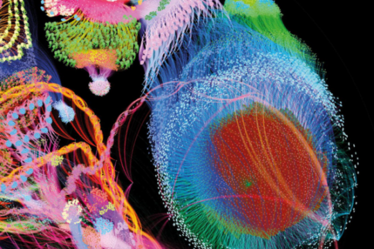 Science on the age of artificial inteligence