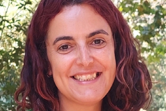 CHAM Talks: «Breve introdução a...» mitologias sumério-acádicas, com Isabel Gomes de Almeida