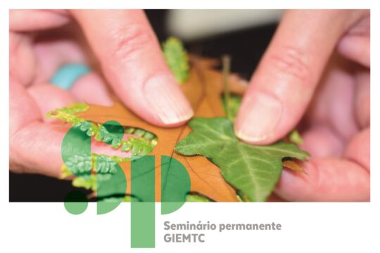 Música, tecnologia e educação, num futuro sustentável