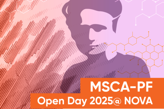 Open Day online para candidatos à bolsas MSCA