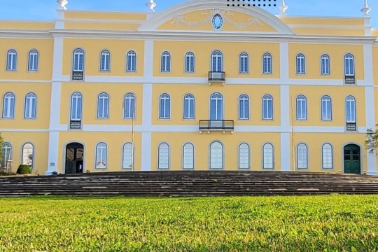 Celebrar o Dia Internacional do Chá em Piquenique!