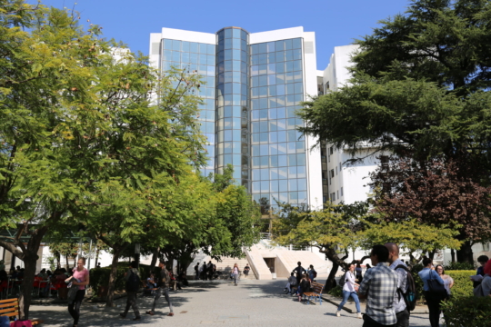 Educação, Cultura e Tecnologias Digitais: BIP reúne universidades europeias na NOVA FCSH
