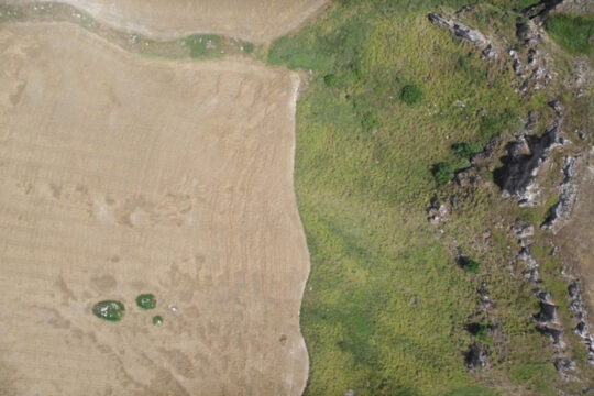 Projeto LIFE Desert-Adapt vence Prémio de Ação Climática