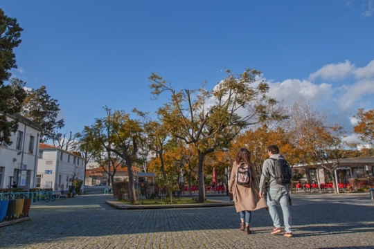 Satisfação de Unidades Curriculares