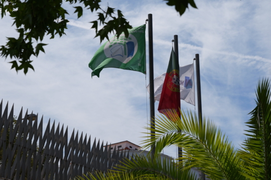 Eco-campus: NOVA FCSH renova distinção da Bandeira Verde pelo sétimo ano consecutivo