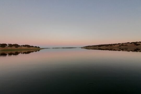 Experiências e Diálogos Interdisciplinares Água em perspetiva