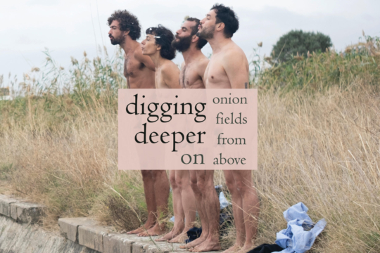 Digging deeper on: Onion fields from above