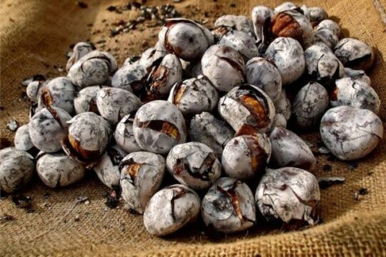 Magusto da Casa de Pessoal da NOVA FCSH