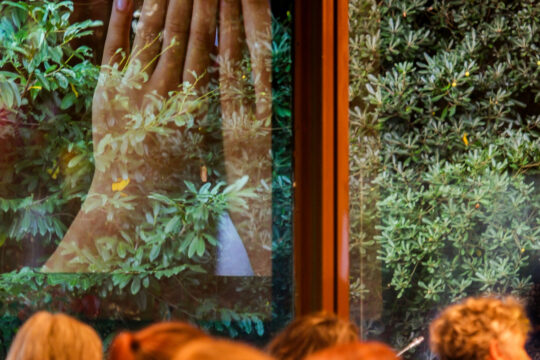 XV Encontro Internacional Arte para a Infância e Desenvolvimento Social e Humano